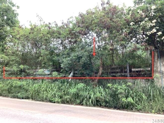รูป ที่ดินว่างเปล่า 113.5 ตร.วา กันณิชา หัวหิน ประจวบคีรีขันธ์ 4.5M - รูปที่ 2/19