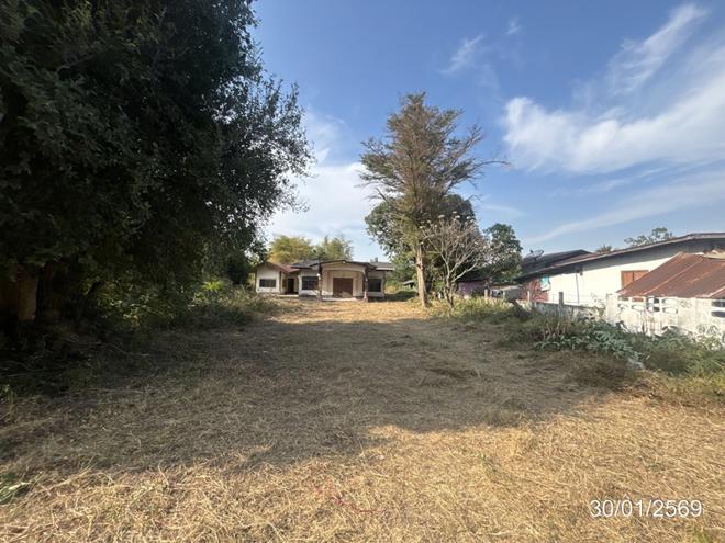 picture HOME 368 Sq.w. Huai Thap Than Si Sa Ket for 1.2M - 17/43