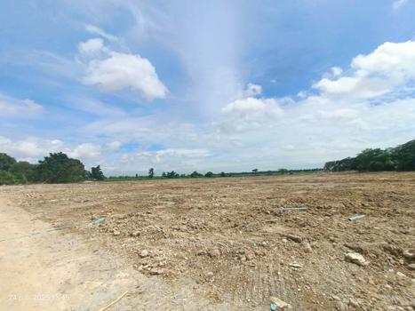 picture LAND 63995.4 Sq.w. Bang Bo Samut Prakarn for 317.2M - 10/13