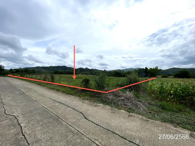 รูป ที่ดินว่างเปล่า 1888.3 ตร.วา เมืองเพชรบูรณ์ เพชรบูรณ์ 1.7M - รูปที่ 1/25