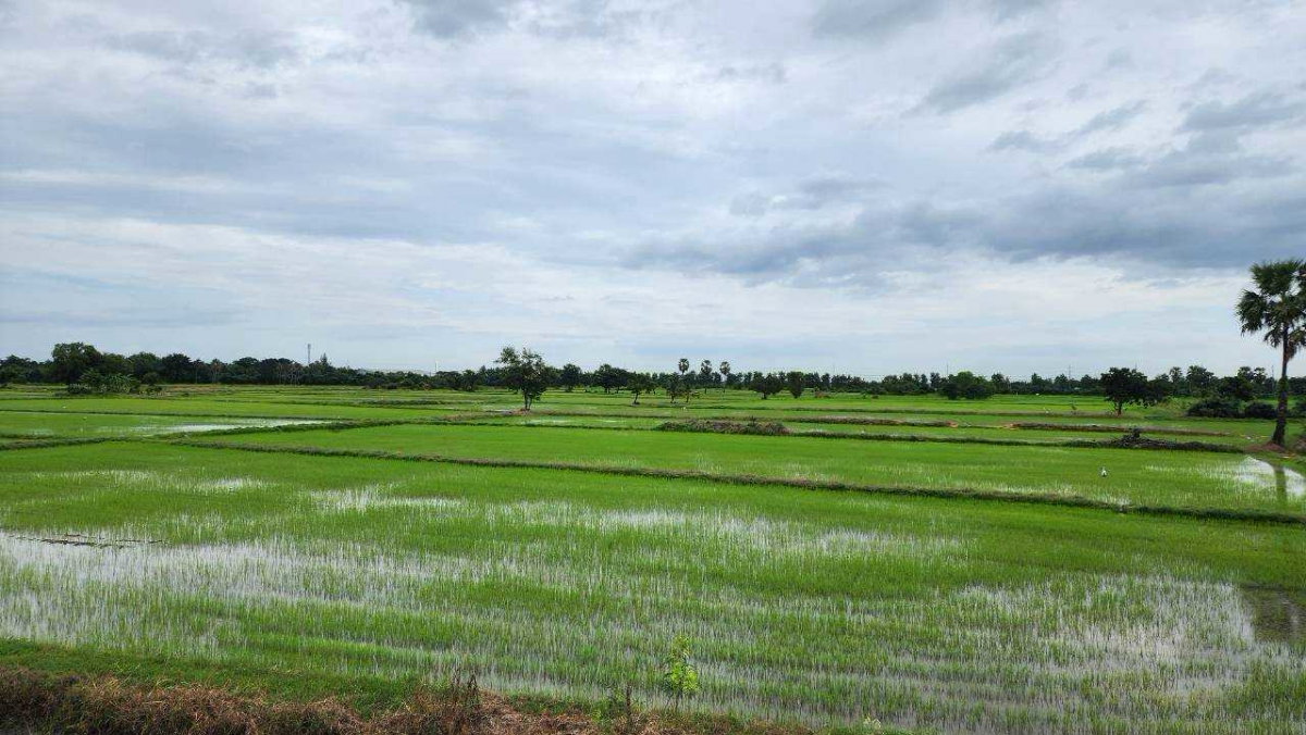 รูป ขายที่ดิน 44 ไร่ 360 ตร.ว. ติดถนนเพชรเกษม กม.143 เขาย้อย เพชรบุรี หน้ากว้าง 120 เมตร แบ่งขายได้ - รูปที่ 6/8