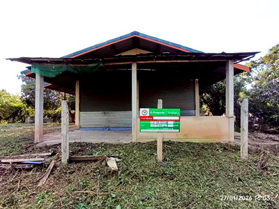 Houses for sale Lamphun : HOME 364 Sq.w. Li Lamphun for 938,000