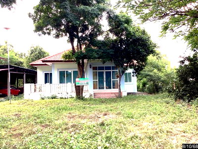 บ้านเดี่ยว นครราชสีมา (โคราช) : บ้านเดี่ยว 153.5 ตร.วา บัวใหญ่ นครราชสีมา 1.3M