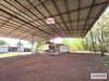 listing thumbnail image 36