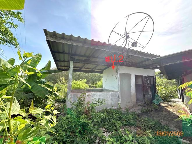 รูป บ้านเดี่ยว 4945 ตร.วา กาญจนดิษฐ์ สุราษฎร์ธานี 2.3M - รูปที่ 11/33