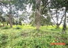 listing thumbnail image 16