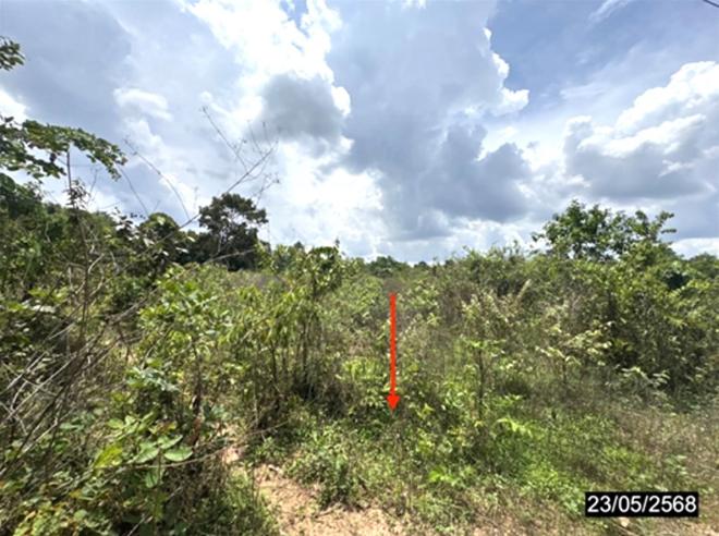รูป ที่ดินว่างเปล่า 1662.3 ตร.วา เมืองอุบลราชธานี อุบลราชธานี 5.5M - รูปที่ 11/25