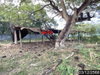 listing thumbnail image 41