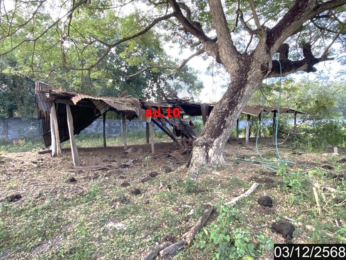 รูป บ้านเดี่ยว 17362 ตร.วา ประจักษ์ศิลปาคม อุดรธานี 16.2M - รูปที่ 42/49