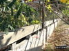 listing thumbnail image 32