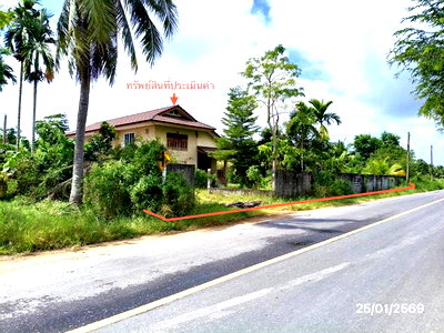 บ้านเดี่ยว สงขลา : บ้านเดี่ยว 2793 ตร.วา ระโนด สงขลา 4.2M