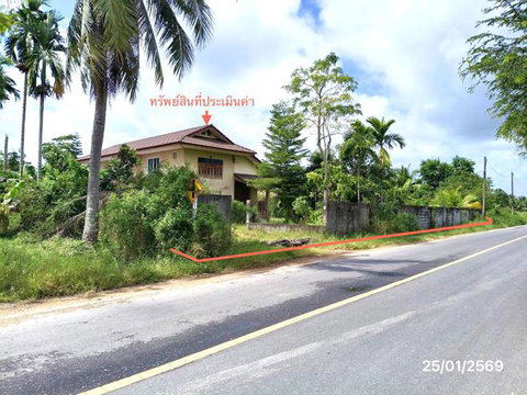 บ้านเดี่ยว 2793 ตร.วา ระโนด สงขลา 4.2M
