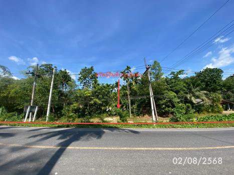 picture LAND 320 Sq.w. Kong Ra Phatthalung for 2M - 18/21