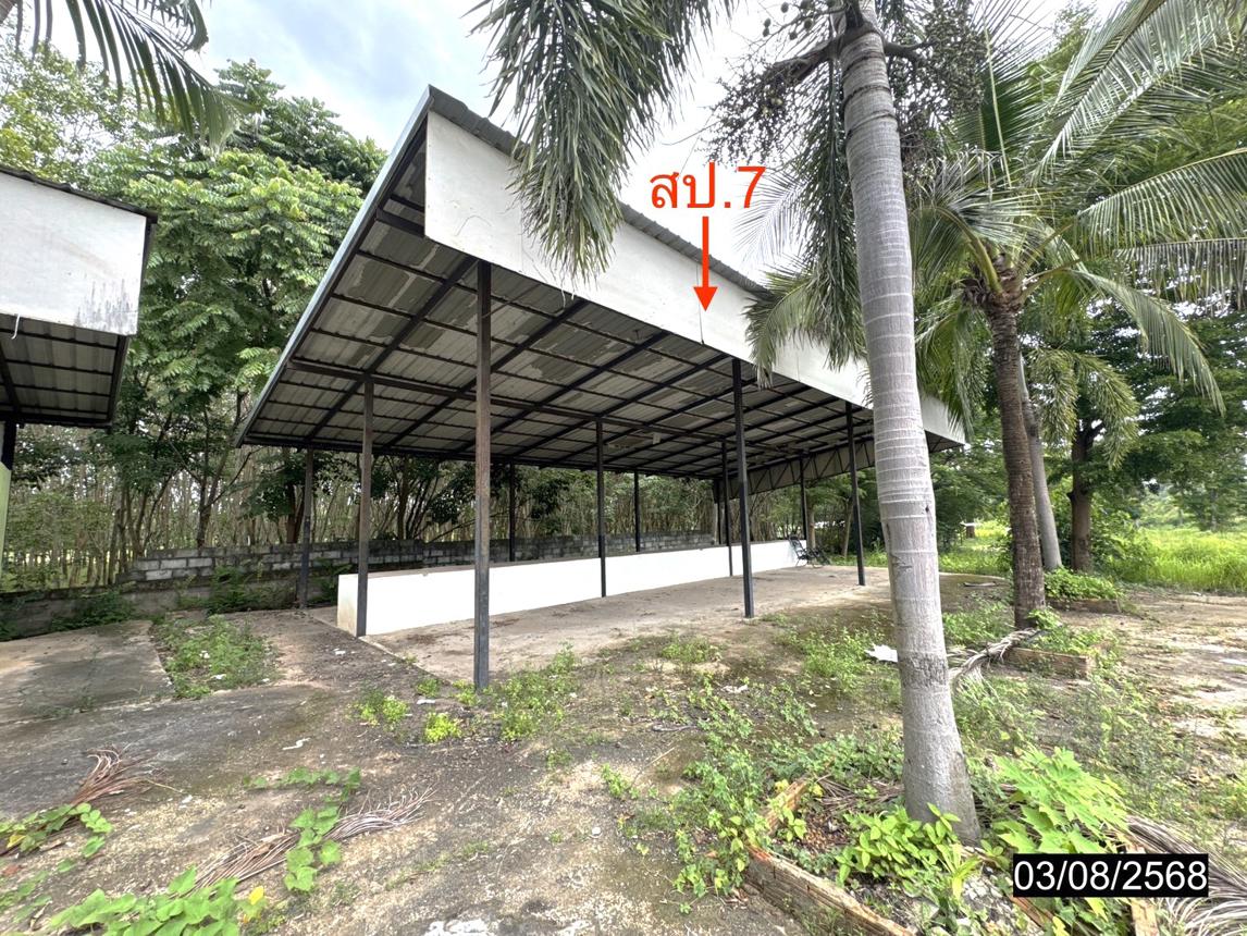 รูป โกดัง 11795 ตร.วา เดชอุดม อุบลราชธานี 37.3M - รูปที่ 49/71
