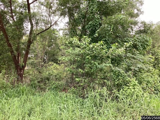 รูป ที่ดินว่างเปล่า 991.1 ตร.วา เมืองอุดรธานี อุดรธานี 8.5M - รูปที่ 6/25