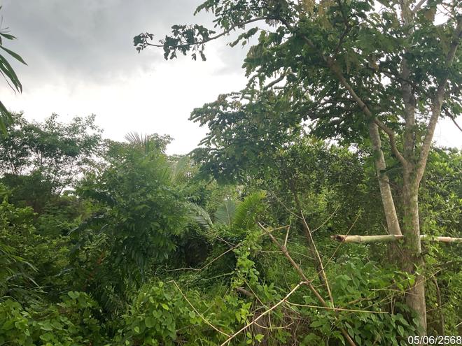รูป ที่ดินว่างเปล่า 1124.3 ตร.วา เมืองสกลนคร สกลนคร 1.9M - รูปที่ 7/23