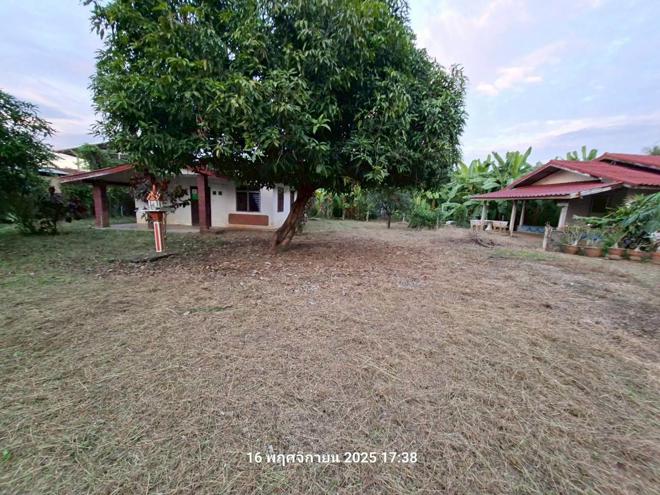 รูป บ้านเดี่ยว 175 ตร.วา หนองไผ่ เพชรบูรณ์ 577,000 - รูปที่ 14/33