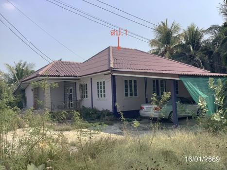 รูป บ้านเดี่ยว 465 ตร.วา สรรคบุรี ชัยนาท 2.9M - รูปที่ 50/53