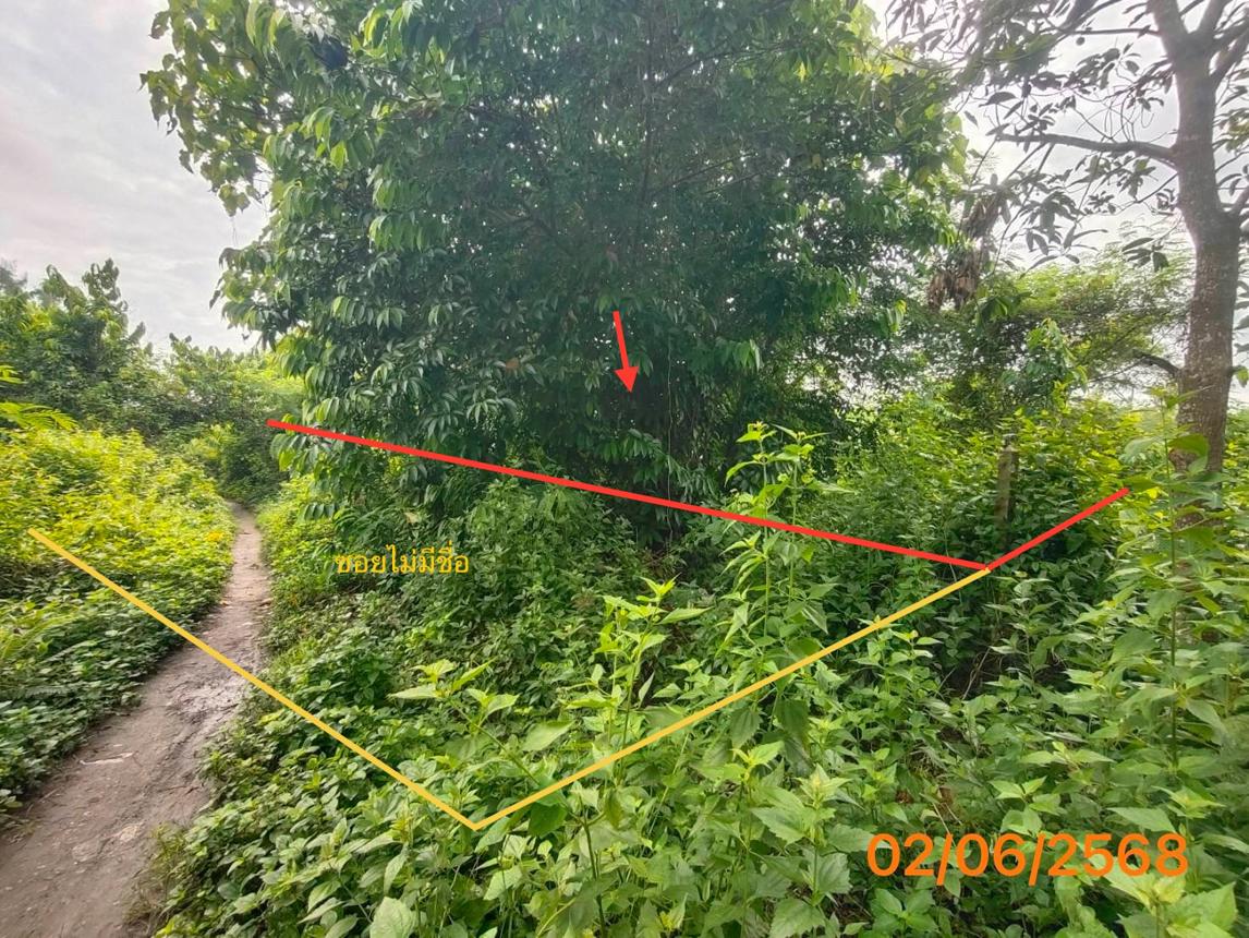 รูป ที่ดินว่างเปล่า 150 ตร.วา เมืองกระบี่ กระบี่ 997,000 - รูปที่ 9/17