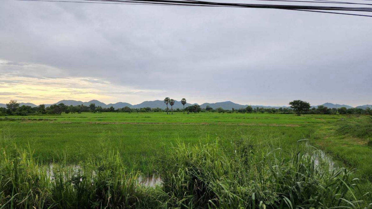 รูป ขายที่ดิน 44 ไร่ 360 ตร.ว. ติดถนนเพชรเกษม กม.143 เขาย้อย เพชรบุรี หน้ากว้าง 120 เมตร แบ่งขายได้ - รูปที่ 2/8