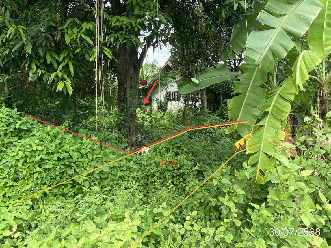 picture LAND 202 Sq.w. Chiang Yun Maha Sarakham for 296,000 - 11/21