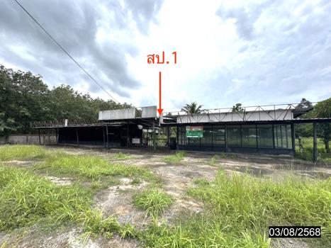 รูป โกดัง 11795 ตร.วา เดชอุดม อุบลราชธานี 37.3M - รูปที่ 68/71