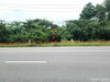 listing thumbnail image 15