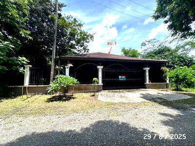 บ้านเดี่ยว ม.ฟาร์อีสเทิร์น : บ้านเดี่ยว 200 ตร.วา เมืองเชียงใหม่ เชียงใหม่ 4.5M