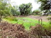 listing thumbnail image 40