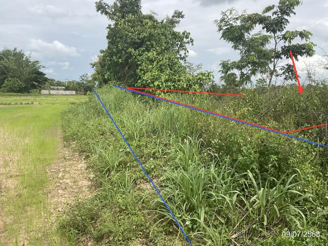 รูป ที่ดินว่างเปล่า 1292.7 ตร.วา เมืองพะเยา พะเยา 668,000 - รูปที่ 8/21