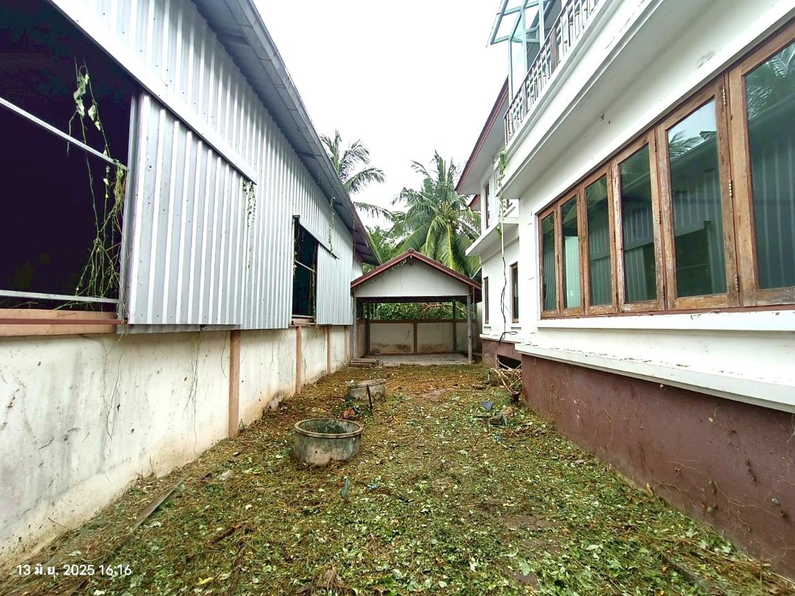 รูป โกดัง 777 ตร.วา อัมพวา สมุทรสงคราม 12.6M - รูปที่ 34/61