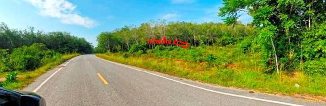 picture LAND 1539 Sq.w. Mae Lan Pattani for 1.4M - 4/19