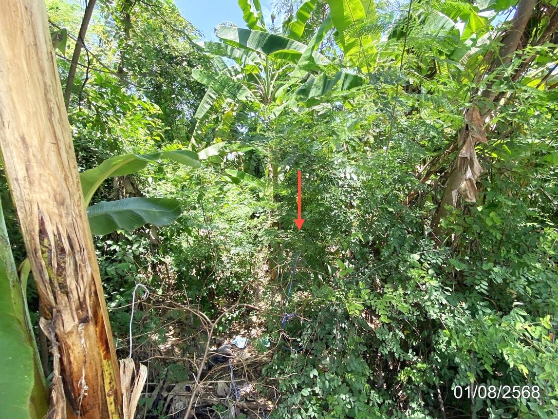 รูป ที่ดินว่างเปล่า 134.9 ตร.วา เมืองขอนแก่น ขอนแก่น 3.9M - รูปที่ 12/17