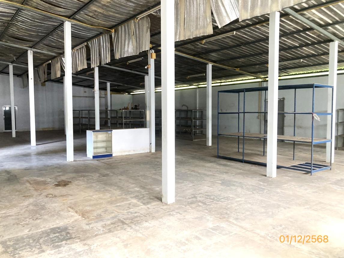 รูป บ้านเดี่ยว 185 ตร.วา พระแสง สุราษฎร์ธานี 4M - รูปที่ 11/19