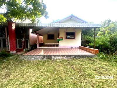 บ้านเดี่ยว ปะคำ บุรีรัมย์ : บ้านเดี่ยว 37 ตร.วา ปะคำ บุรีรัมย์ 544,000