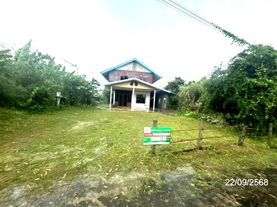 บ้านเดี่ยว สตึก บุรีรัมย์ : บ้านเดี่ยว 569 ตร.วา สตึก บุรีรัมย์ 1.4M