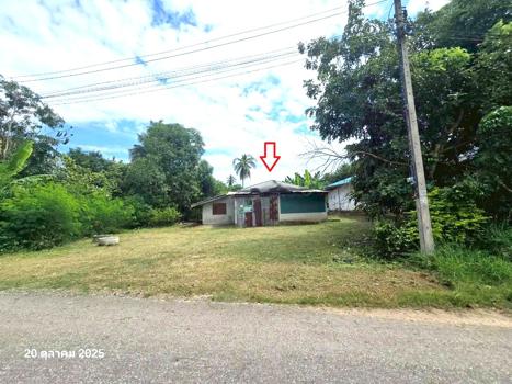 รูป บ้านเดี่ยว 200 ตร.วา ขาณุวรลักษบุรี กำแพงเพชร 457,000 - รูปที่ 24/27