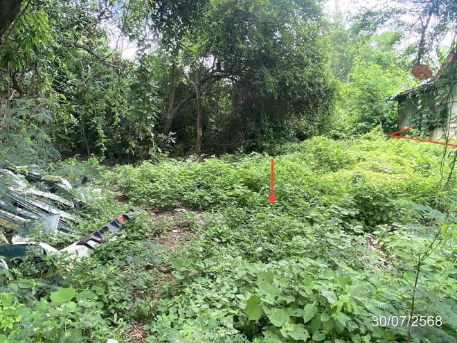 picture LAND 202 Sq.w. Chiang Yun Maha Sarakham for 296,000 - 7/21
