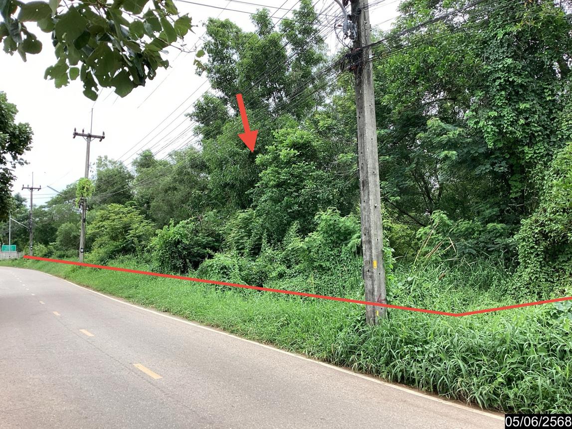 รูป ที่ดินว่างเปล่า 991.1 ตร.วา เมืองอุดรธานี อุดรธานี 8.5M - รูปที่ 14/25