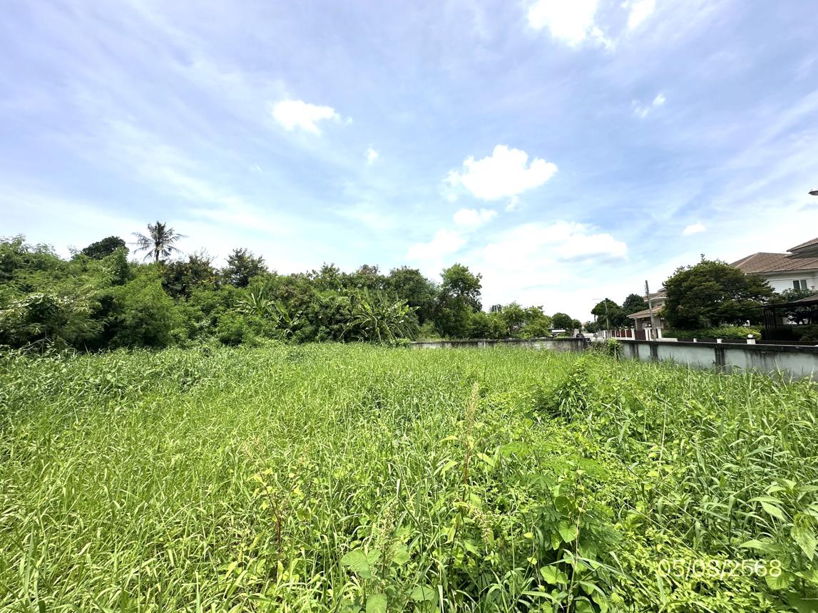 picture LAND 226 Sq.w. Bang Khae Bangkok for 6.9M - 11/15