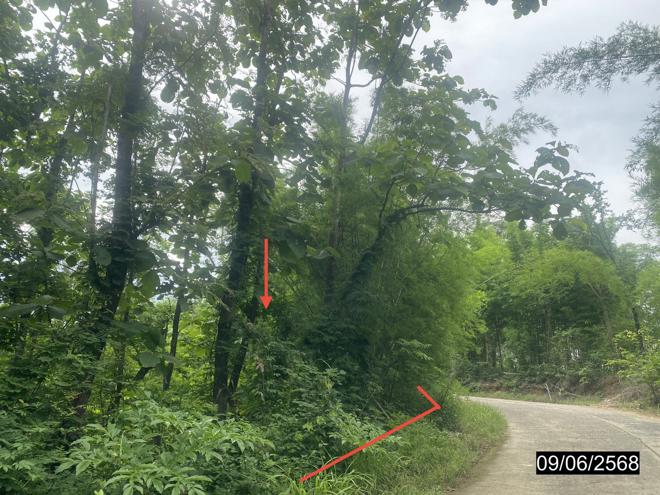 รูป ที่ดินว่างเปล่า 3030 ตร.วา หล่มเก่า เพชรบูรณ์ 985,000 - รูปที่ 5/21