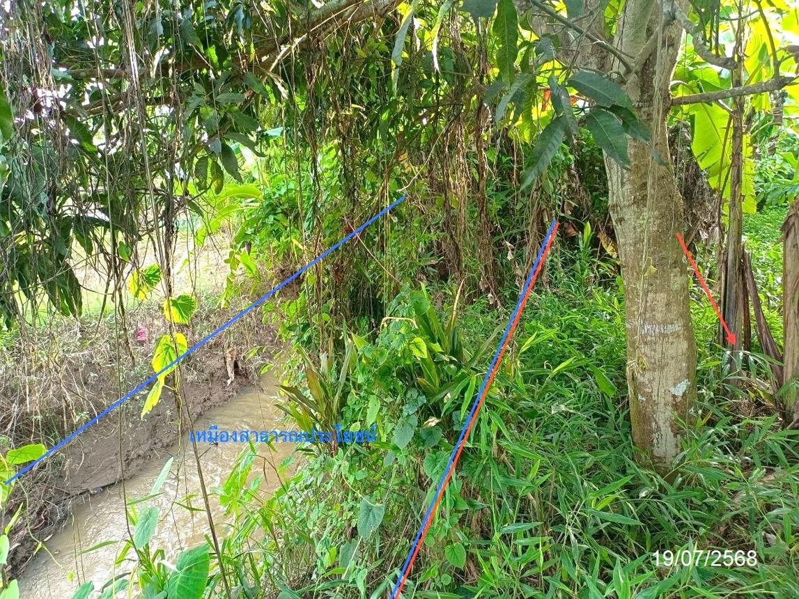 รูป บ้านเดี่ยว 288 ตร.วา แม่จัน เชียงราย 937,000 - รูปที่ 19/25