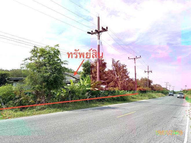 รูป บ้านเดี่ยว 4945 ตร.วา กาญจนดิษฐ์ สุราษฎร์ธานี 2.3M - รูปที่ 15/33