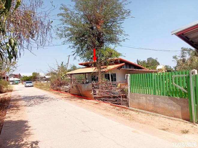 รูป บ้านเดี่ยว 305 ตร.วา ด่านขุนทด นครราชสีมา 650,000 - รูปที่ 8/19
