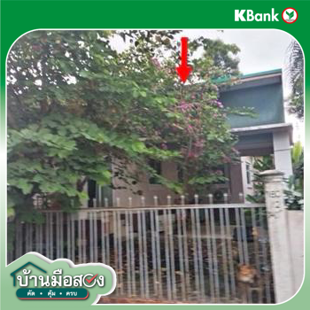 รูป บ้านเดี่ยว 62 ตร.วา บ้านยางโมเดิร์น เมืองบุรีรัมย์ บุรีรัมย์ 1.8M - รูปที่ 9/11