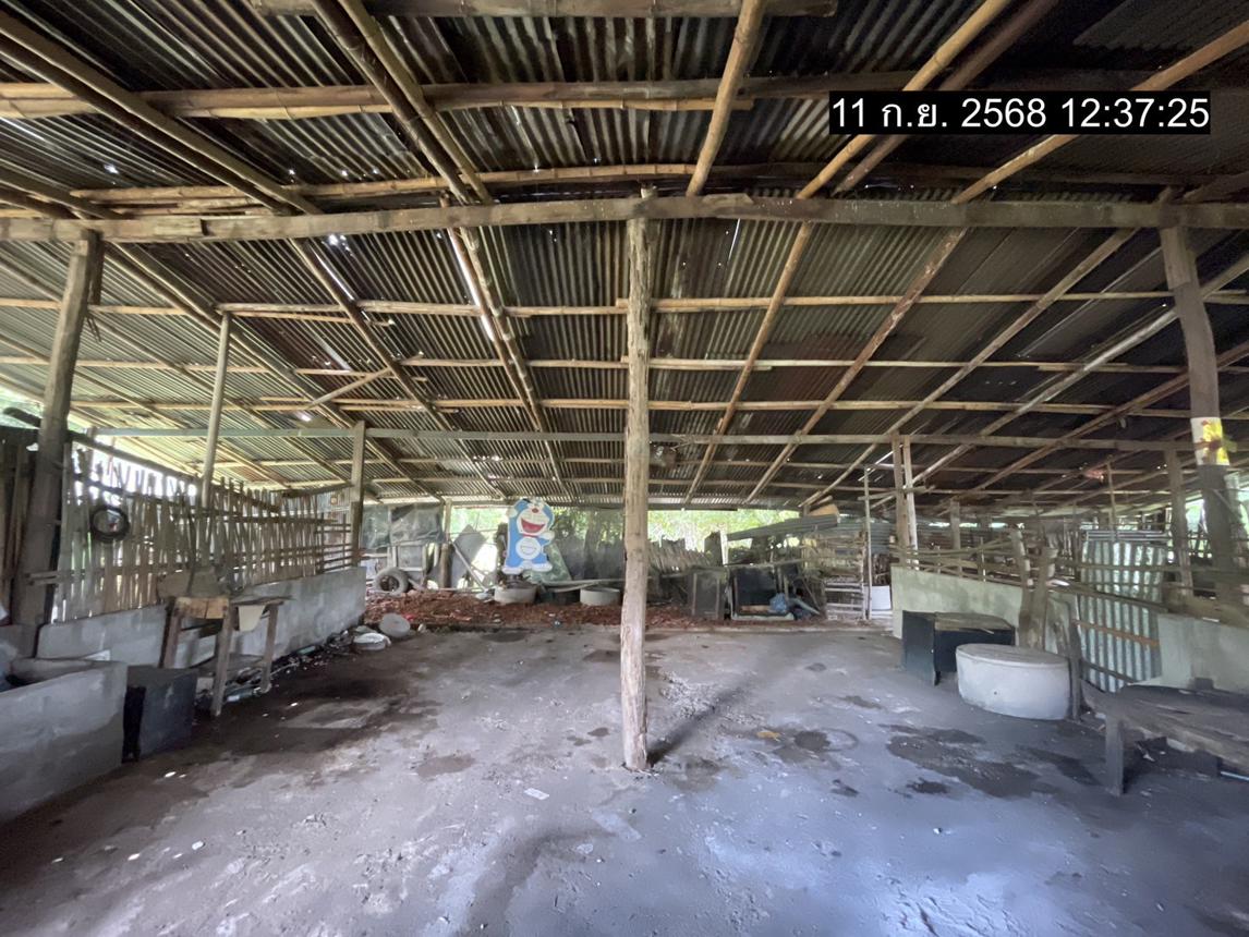 รูป บ้านเดี่ยว 843 ตร.วา โพธาราม ราชบุรี 2.4M - รูปที่ 24/29