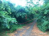 listing thumbnail image 22
