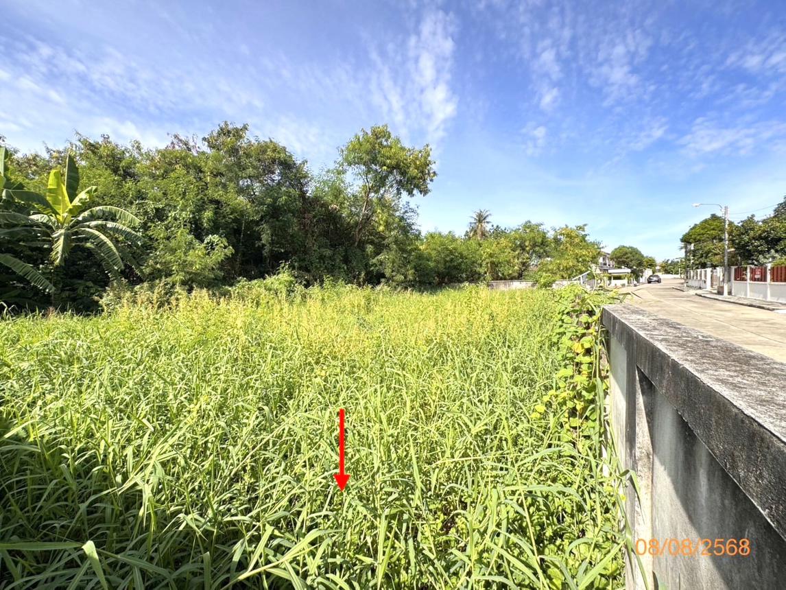 picture LAND 211.8 Sq.w. Bang Khae Bangkok for 6.5M - 11/15