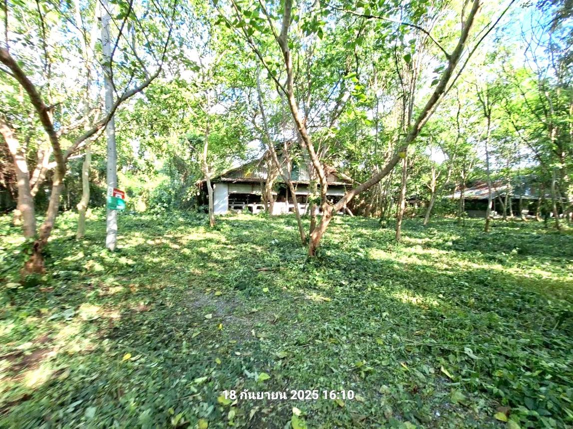 รูป ฟาร์ม 27277 ตร.วา พระพุทธบาท สระบุรี 17.6M - รูปที่ 37/43