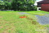 listing thumbnail image 29